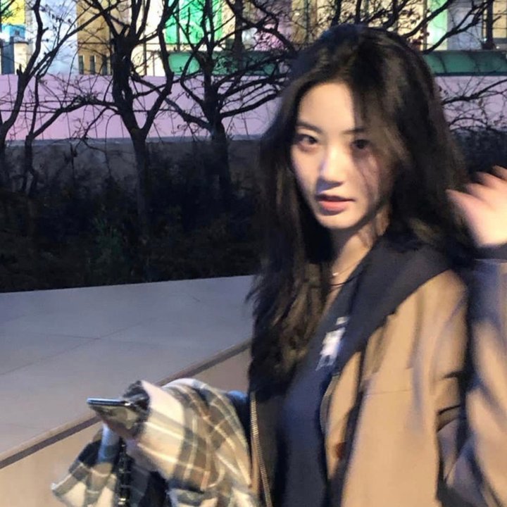 汗血宝马
