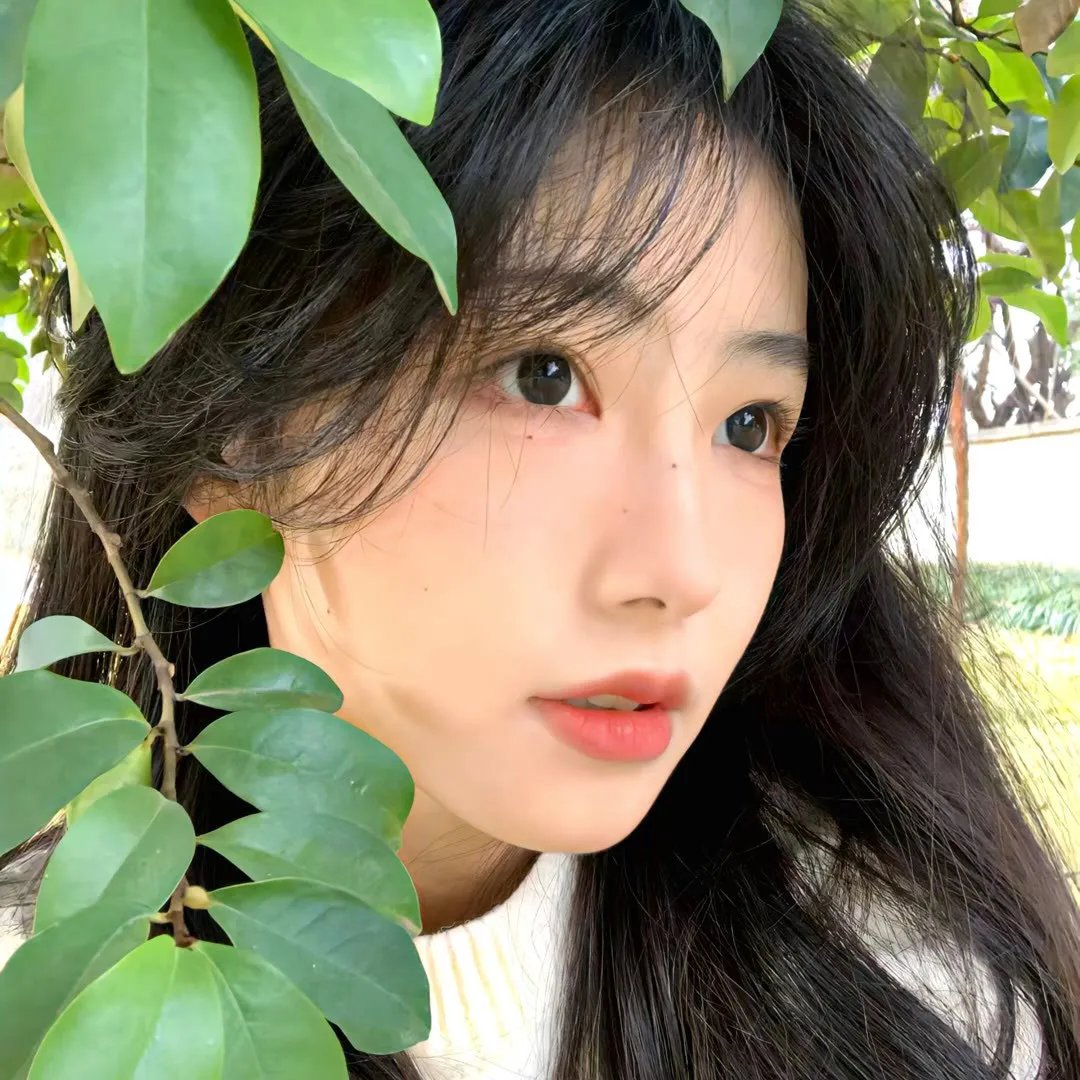生之柳